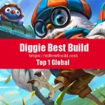 Diggie Best Build